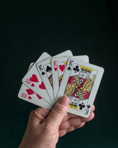 shiowla togel support team available in multiple languages